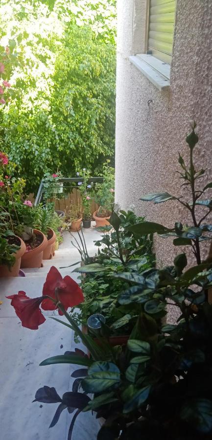 Aegina'S Flowers House Ngoại thất bức ảnh