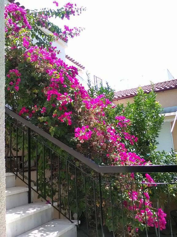 Aegina'S Flowers House Ngoại thất bức ảnh