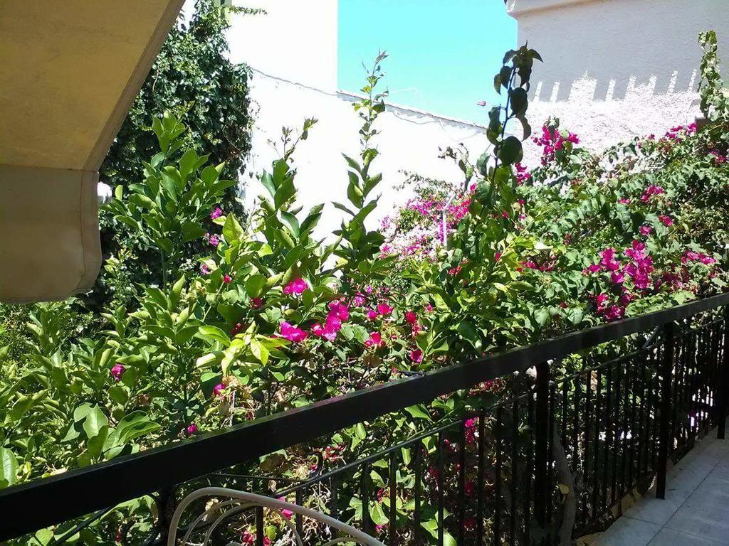 Aegina'S Flowers House Ngoại thất bức ảnh