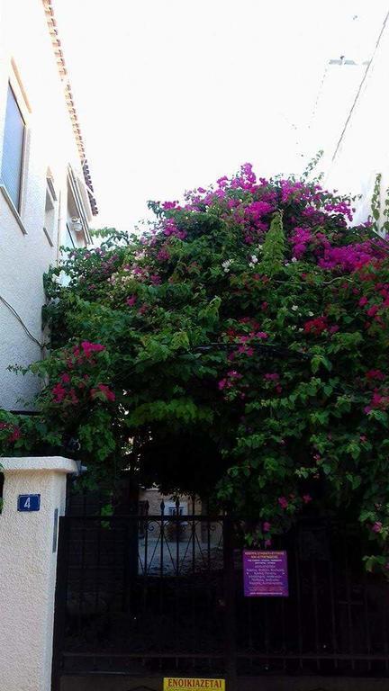 Aegina'S Flowers House Ngoại thất bức ảnh