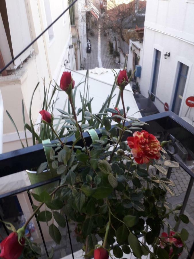 Aegina'S Flowers House Ngoại thất bức ảnh