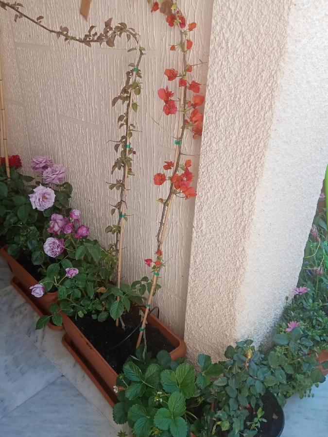 Aegina'S Flowers House Ngoại thất bức ảnh