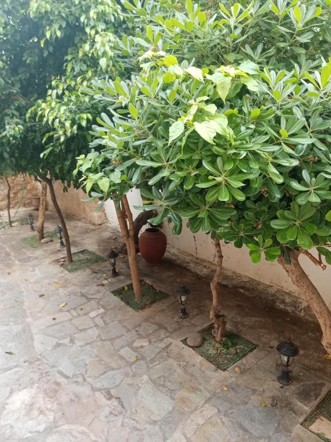 Aegina'S Flowers House Ngoại thất bức ảnh